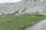 PICTURES/Toadstool Geologic Park/t_P1020335.JPG